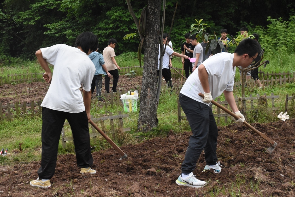 华龙网以劳育人五育并举重庆交通大学劳动教育实践活动月正式启动