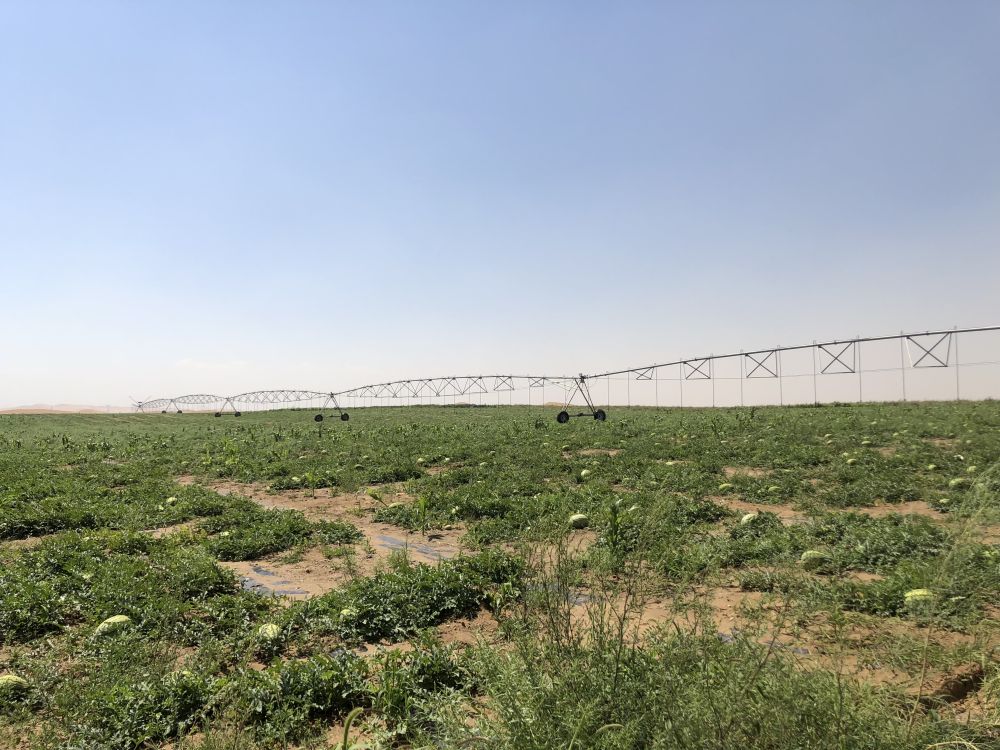 https://img-xhpfm.zhongguowangshi.com/News/202201/GcqfshC007027_20220105_CBMFN0A003.jpg?x-oss-process=image/resize,w_1000/auto-orient,1/quality,Q_80