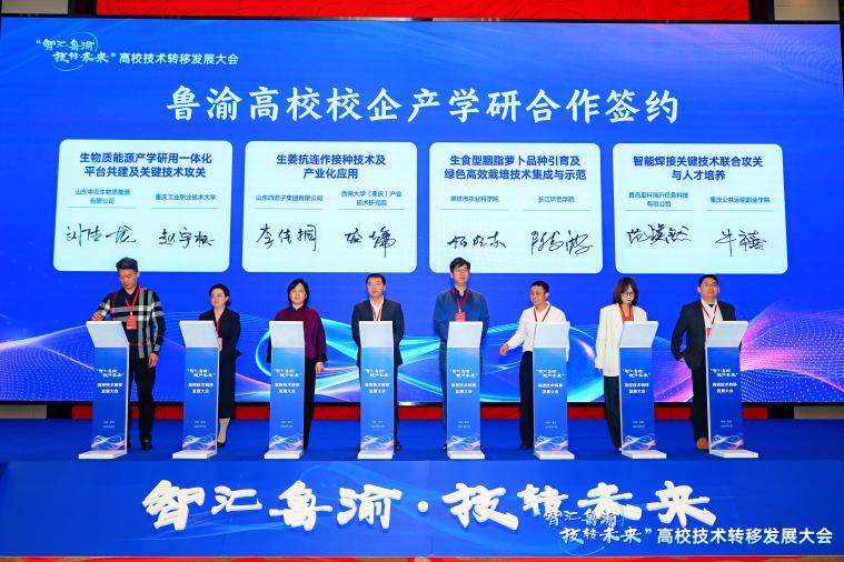 3010f13dca4b4e69a7c469fcb4f804ed