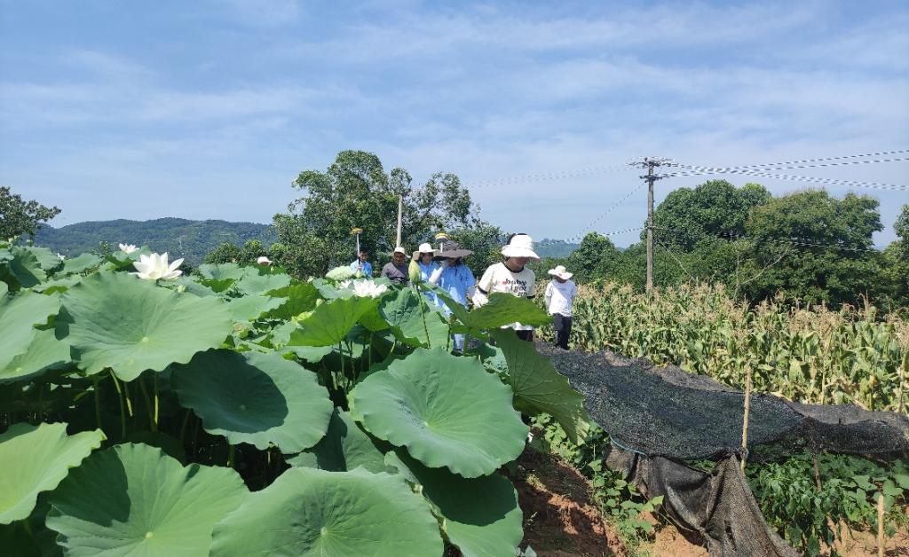【2022暑期三下乡】智慧城市学院赋能城乡发展
